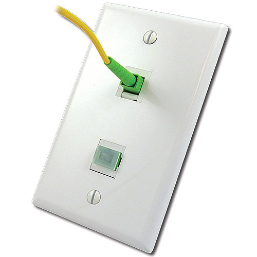 Wall Plate, 2 Port