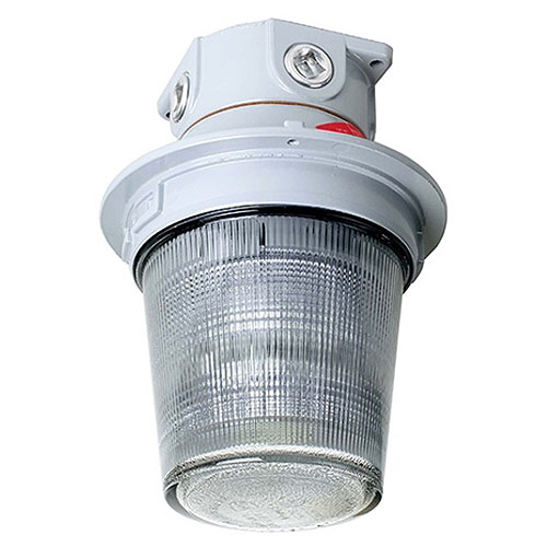 Edwards Signaling 107DDV2CSTC-G1 Weatherproof Diode Polarized Division 2 AdaptaBeacon Strobe, Clear, 24 VDC, 0.8 A, Ceiling Mount