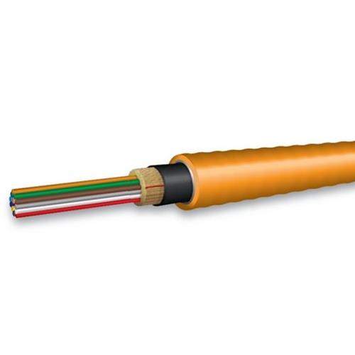 OCC DX024DWLS9ORI2 Distribution 24 Str MM 62.5 OM1  Riser with interlocking armor,  Orange jacket