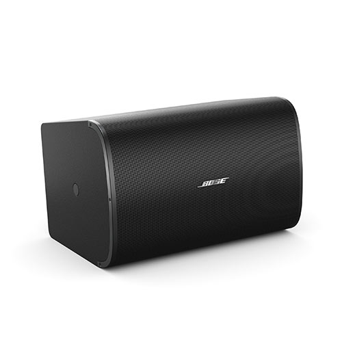 Bose DesignMax DM10S-SUB 10