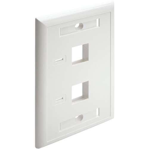 Tripp Lite Dual Outlet RJ45 Universal Keystone Face Plate / Wall Plate