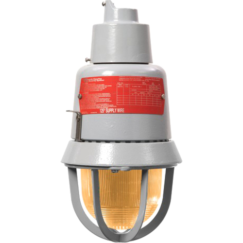 Edwards 116 Class Genesis Mass Notification Strobe