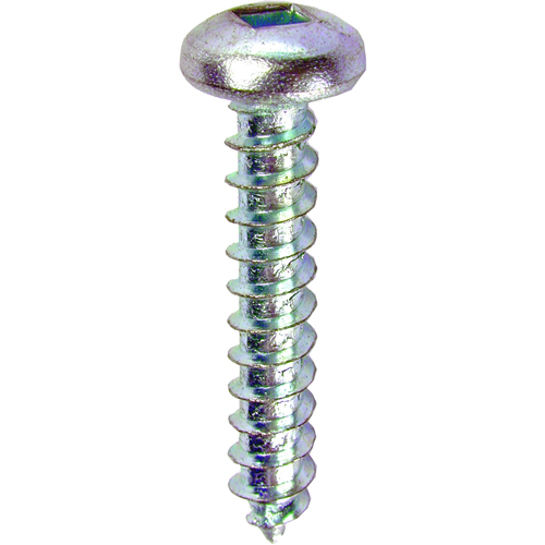 Dottie DDSMS81 Screw