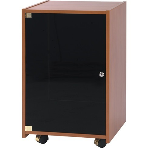 Chief Elite ECRR-20-20CH Rack Cabinet