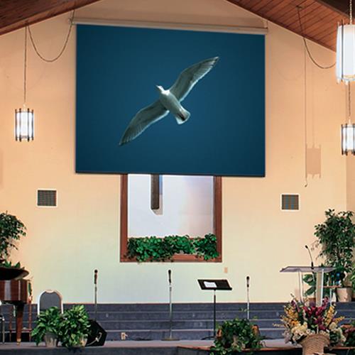 Draper Targa Electric Projection Screen