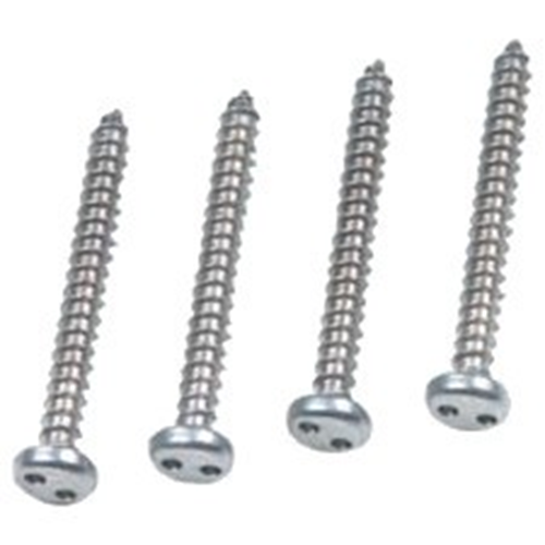 Tamper resistant stainless steel screws, #8 x 2 in. snake eye (quantity 4)