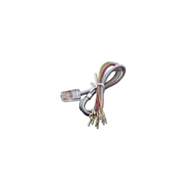 W Box RJ45 Silver Satin 2' Cable for RJ31X