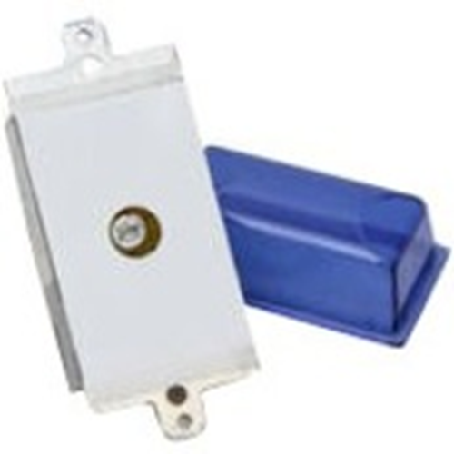 Steady Lamp Module 24v Blue Lens