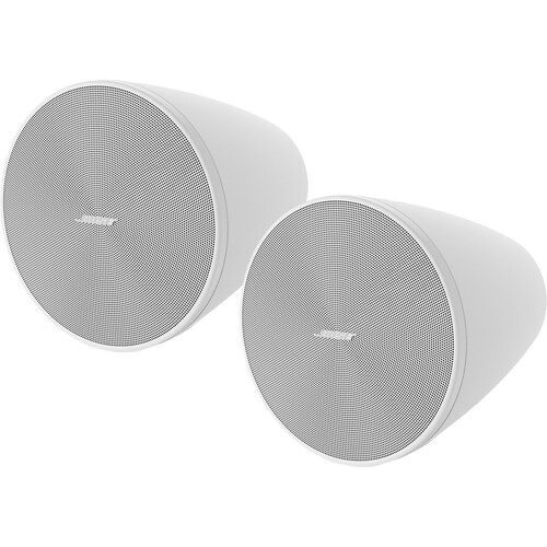 Bose Professional Designmax DM5P 60-Watt 5.25