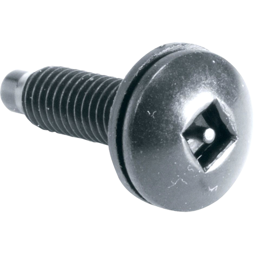 Middle Atlantic Guardian HSK Square Post Security Rack Screw